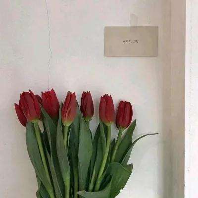 今期澳门三肖三码开一码下载手机版