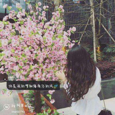 十大正规买足球网站