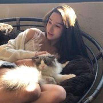 澳门威斯人手机app下载